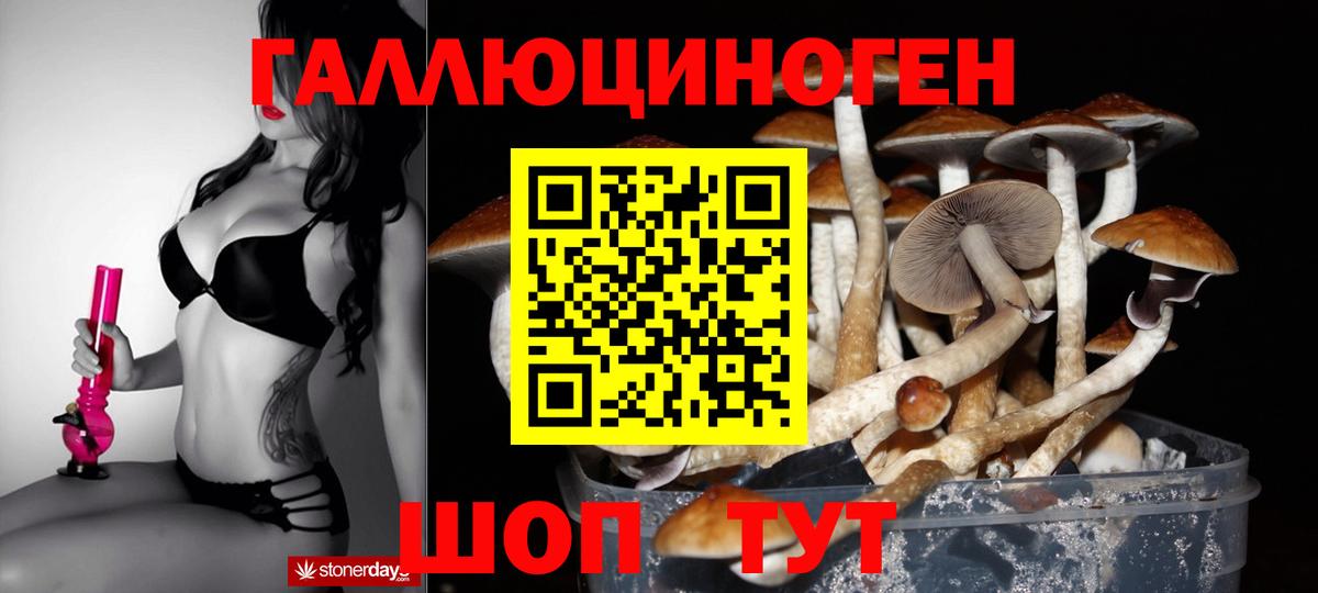 Волжский  Псилоцибиновые грибы Magic Shrooms  Вход с VPN 