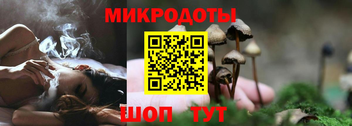 Псилоцибиновые грибы GOLDEN TEACHER Волжский